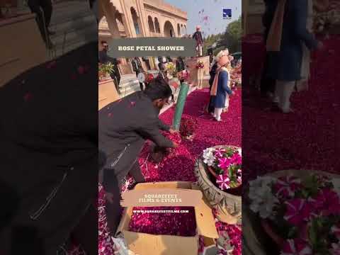Rose petal Shower | Jaimala Effects